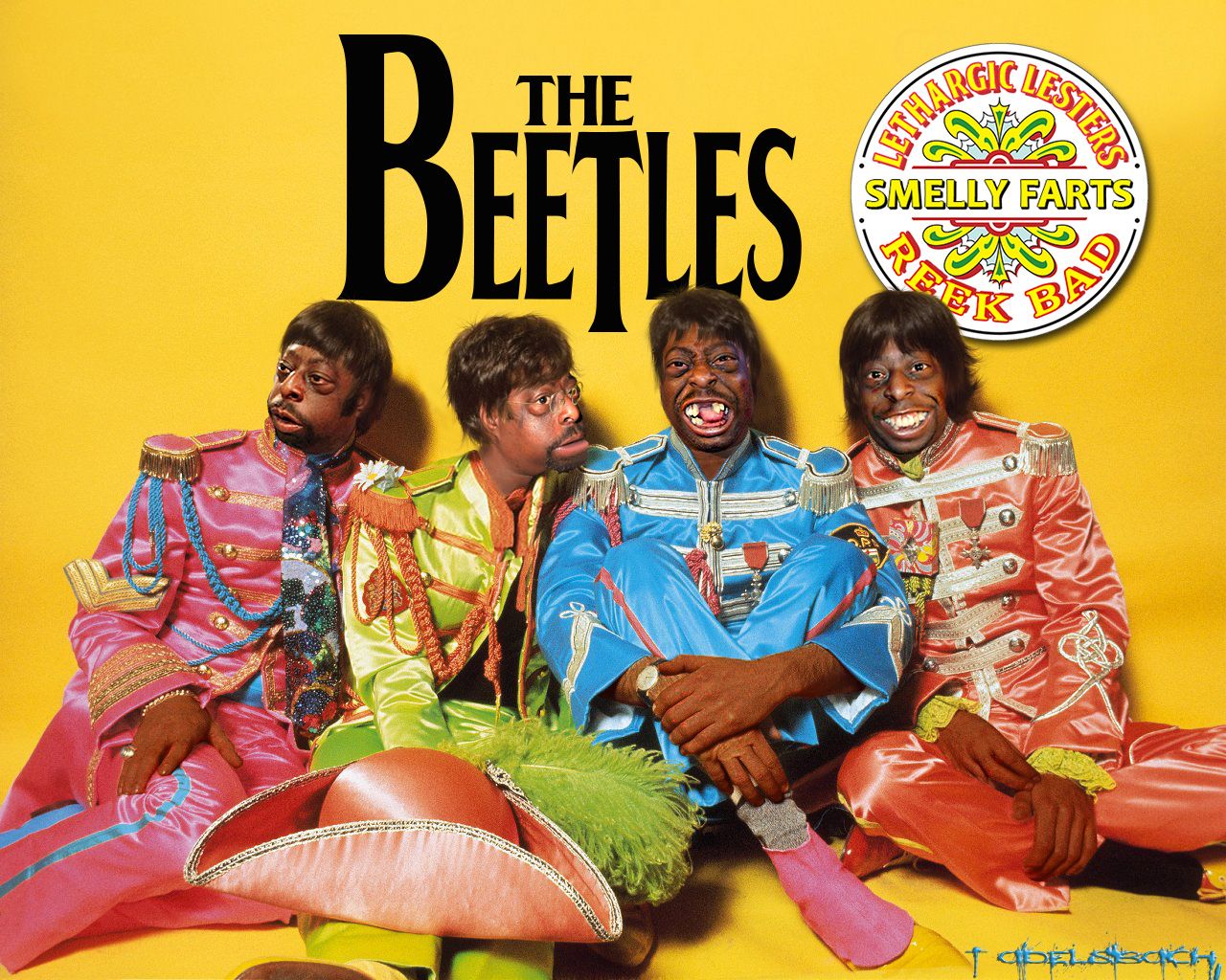 Beetles Sgt Peppers - by Tom